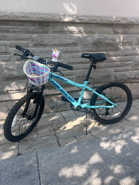 Girls (age 7-9) 20' Wheel Nakamura Bike For Sale