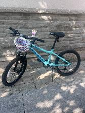 Girls (age 7-9) 20' Wheel Nakamura Bike For Sale