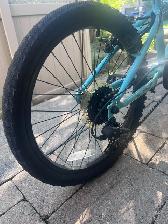 Girls (age 7-9) 20' Wheel Nakamura Bike For Sale - Photo 5