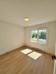 HERRING COVE ROAD - GORGEOUS 3 BR 1.5 BATH AVAILABLE NOW! - Photo 6