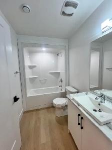 HERRING COVE ROAD - GORGEOUS 3 BR 1.5 BATH AVAILABLE NOW! - Photo 7