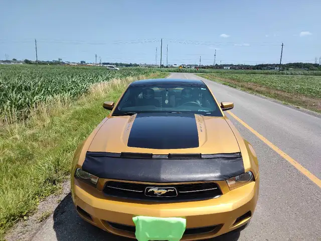 Ford, Mustang, Trades Possible,