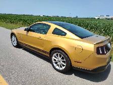 Ford, Mustang, Trades Possible, - Photo 3