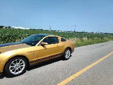Ford, Mustang, Trades Possible, - Photo 4