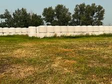 Oat Silage Bales