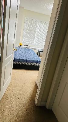 2-Person Room Available - Photo 4