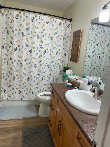 House for sale in quiet town of Canwood SK - Photo 6