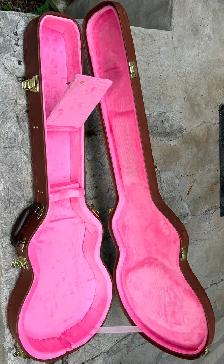 Epiphone Les Paul case - Photo 4