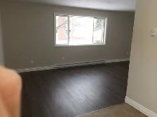 2 Beds 1 Bath Apartment - Photo 5