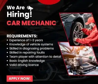 Looking for Mechanic