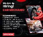 Looking for Mechanic