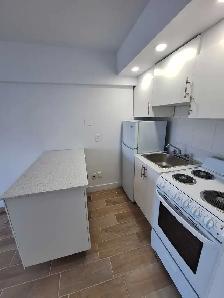 DOWNTOWN STUDIO mcgill area