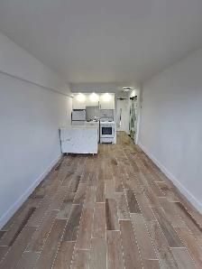 DOWNTOWN STUDIO mcgill area - Photo 2