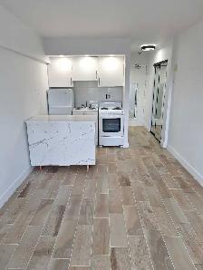 DOWNTOWN STUDIO mcgill area - Photo 3