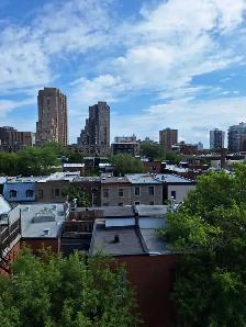 DOWNTOWN STUDIO mcgill area - Photo 4