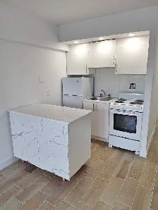 DOWNTOWN STUDIO mcgill area - Photo 10