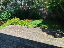 BEAUTIFUL ANCASTER HOME FOR RENT – Available August 1st, 2026 - Photo 4
