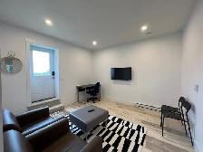 1 BHK Basement Unit for Rent Sept 1 - Photo 7