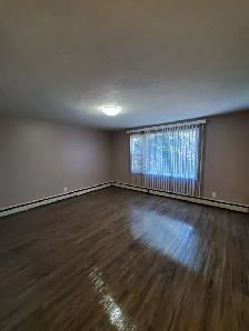 2 bedroom apartment - close to downtown - Photo 2