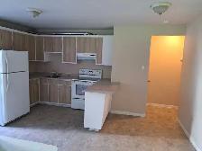 3 1/2 Appartement a louer