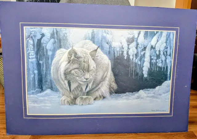 Robert Bateman print of a Dozing Lynx