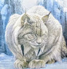 Robert Bateman print of a Dozing Lynx - Photo 2