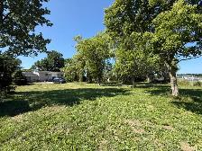 Buisness/Home for lease / sale - Photo 3