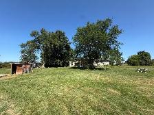 Buisness/Home for lease / sale - Photo 9