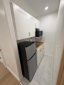 Newly renovated bachelor in Centretown! Available Immediately! - Photo 3