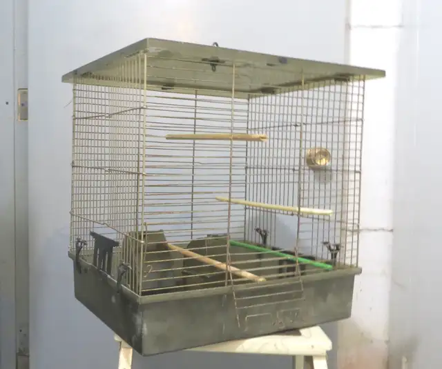 Cages pour oiseaux