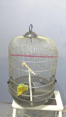 Cages pour oiseaux - Photo 2