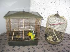 Cages pour oiseaux - Photo 3