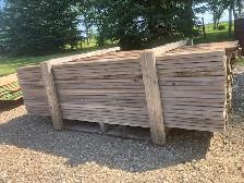 CEDAR FENCE BOARDS.  FIRST $75 TAKES ALL!