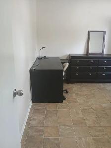 Room available for rent
