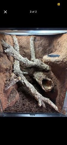 REPTILE REHOMING