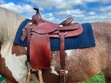 Rocky Mountain Saddle - Photo 2