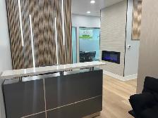 Furnished Newly Built Offices For Rent On Hespeler Rd Busy Plaza