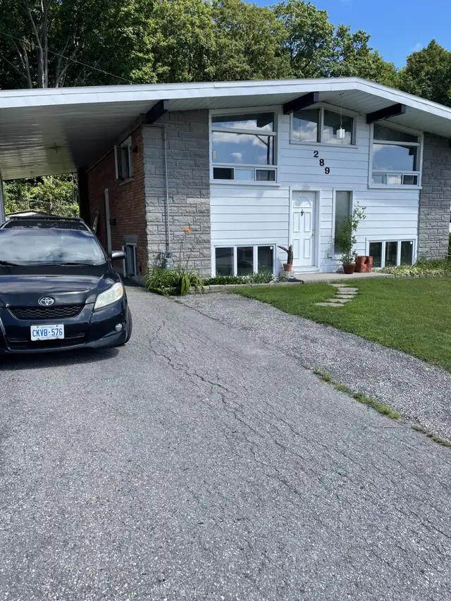 A bright 1- bedroom basement apartment- non smoker