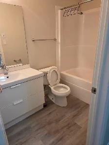 2 Bedroom Legal Basement Suite – Harbour Landing - Photo 3