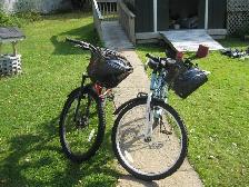 His & Hers Bikes - Photo 3