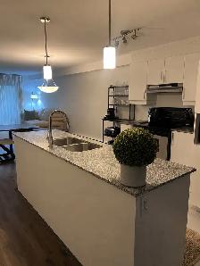 3 Bedroom, 1 Bathroom Apartment for Rent Gatineau - Photo 3