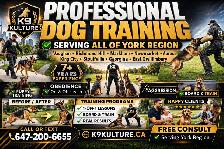 Dog Training Experts | Puppy, Obedience & Aggressive Dogs