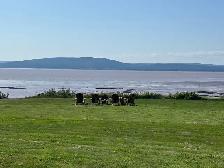 cottage rental - Photo 2