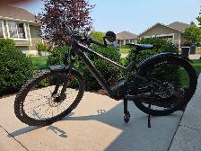 Rocky Mountain Fusion Powerplay 10 E-Bike - Photo 2