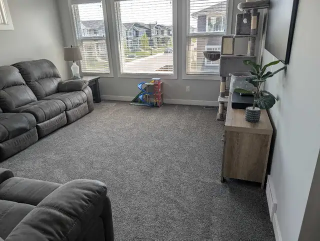 Carpet & Upholstery Cleaning