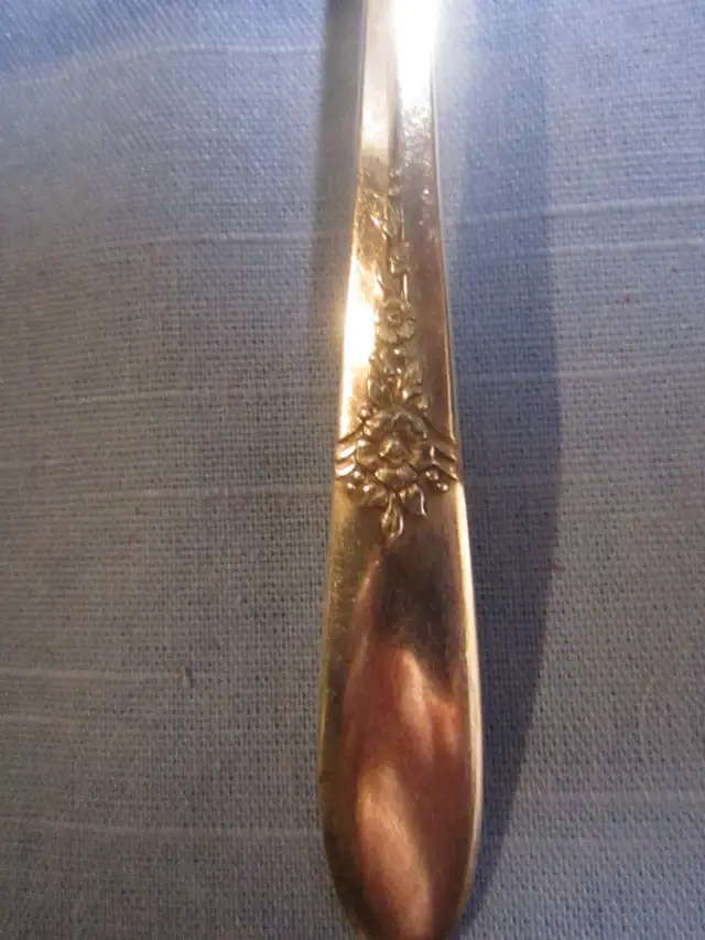 #13-51D   FANTASY silverware set for 8