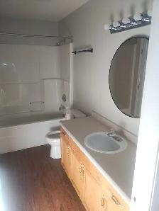106 top level Paramar Rentals - Photo 5
