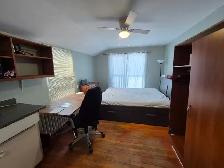 $1310 - Studio apartment sublet - Ottawa - Fall term