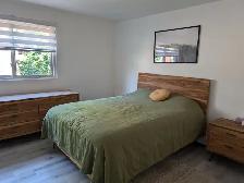 4 1/2 rue Vimy (Nord) Animaux permis dispo 15 août (étudiants)