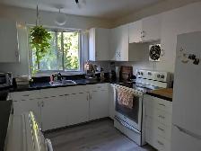 4 1/2 rue Vimy (Nord) Animaux permis dispo 15 août (étudiants) - Photo 6